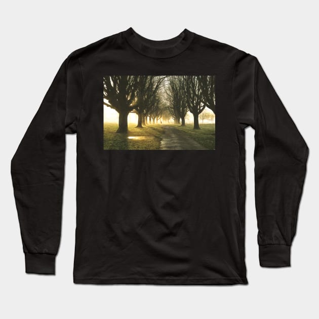 Llandaff Fields#8 Long Sleeve T-Shirt by RJDowns